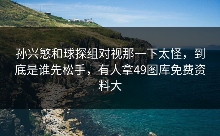 孙兴慜和球探组对视那一下太怪，到底是谁先松手，有人拿49图库免费资料大