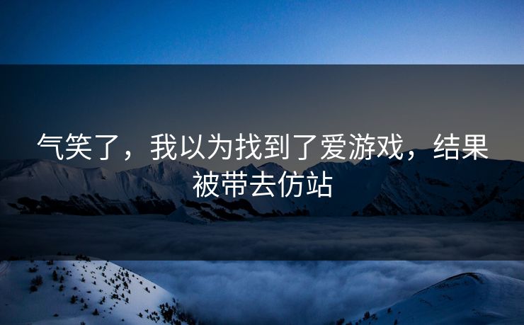 气笑了，我以为找到了爱游戏，结果被带去仿站